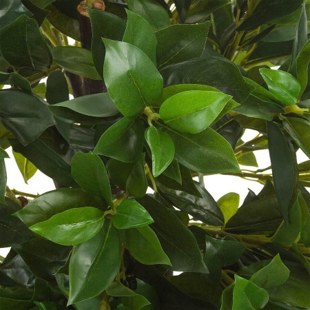 Лавр искусственное дерево