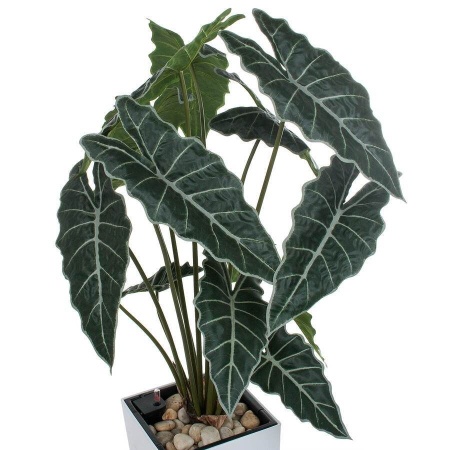 Искусственное растение Алоказия в горшке Conic Silk