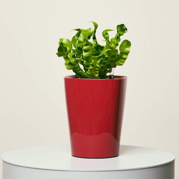 Кашпо Lechuza Deltini & MINI-Deltini