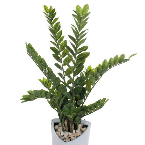 Растение искусственное Замиокулькас в горшке Crater Silk