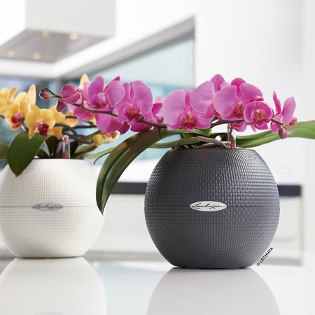 Кашпо Lechuza Puro Color