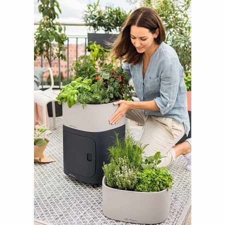 Кашпо Lechuza Pila Growpot Color
