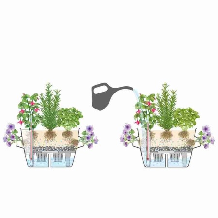 Кашпо Lechuza Cascada Color