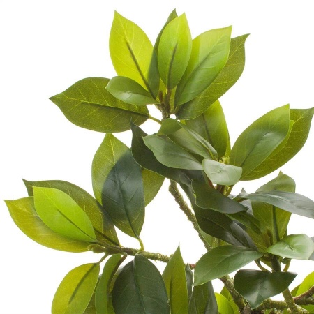 Дерево искусственное Фагрея