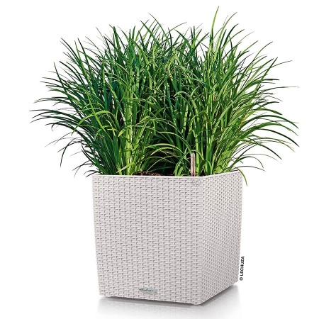 Кашпо Lechuza Cube Cottage