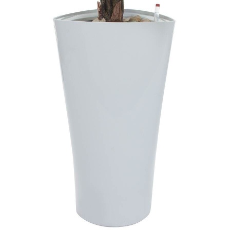 Растение искусственное Калатея в горшке Crater Silk