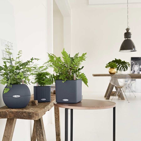 Кашпо Lechuza Puro Color