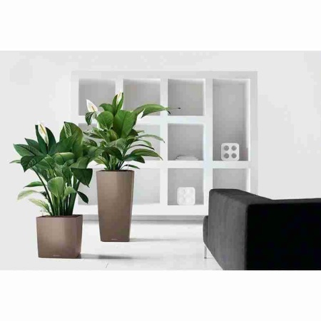 Кашпо Lechuza Cube