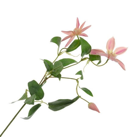 Клематис искусственный