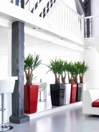 Кашпо Lechuza Cubico Premium