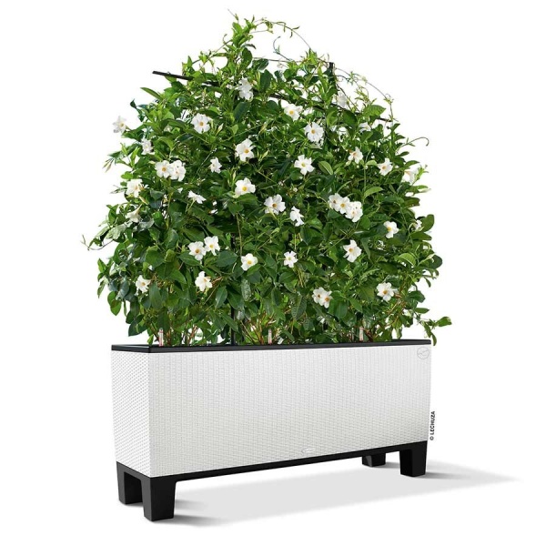 Тумба для Lechuza Trio Cottage