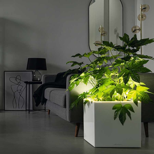 Кашпо Lechuza Canto Stone LED low