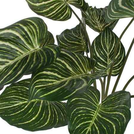 Растение искусственное Калатея в горшке Crater Silk