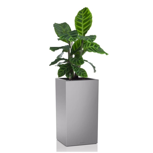 Кашпо Lechuza Canto Column