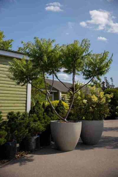 Большой уличный горшок Sandy Cement