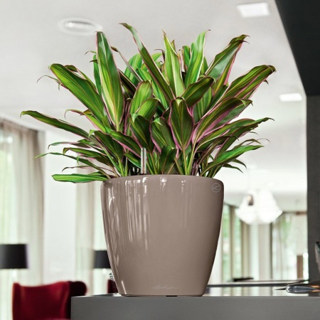 Кашпо Lechuza Classico LS