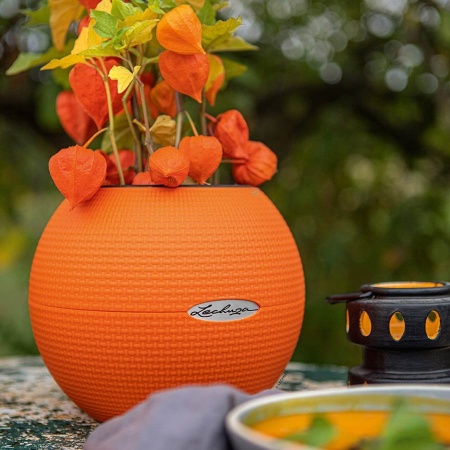 Кашпо Lechuza Puro Color