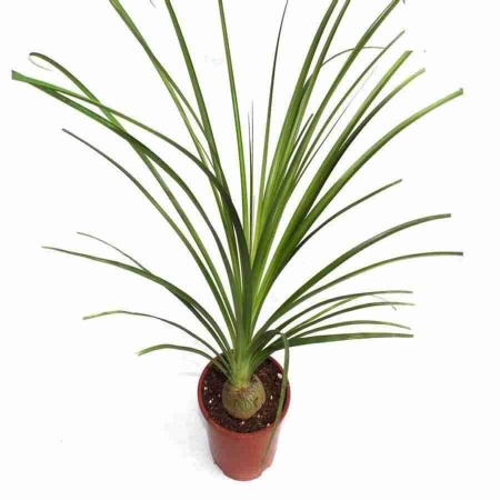 Подсвечник Дерево