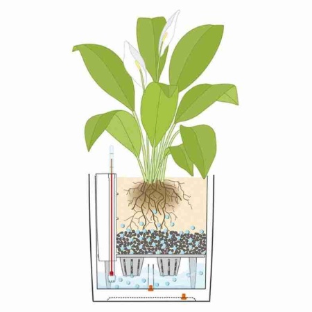 Кашпо Lechuza Cube