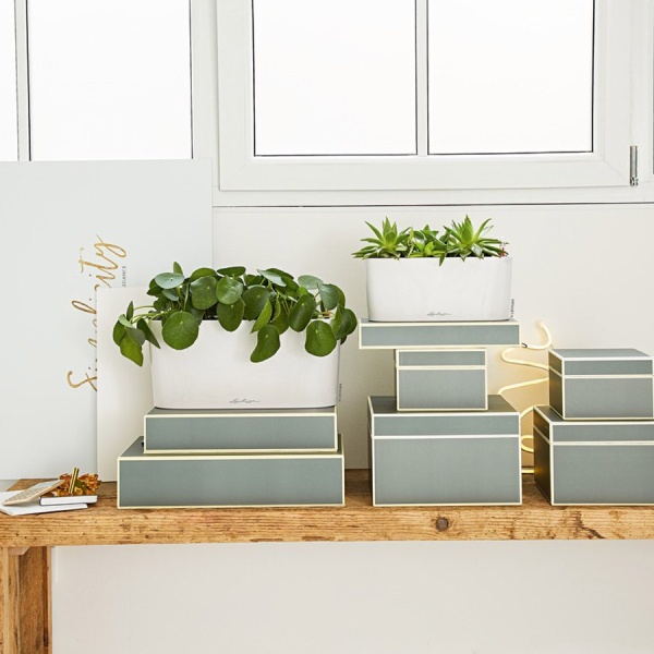 Кашпо Lechuza Delta 10