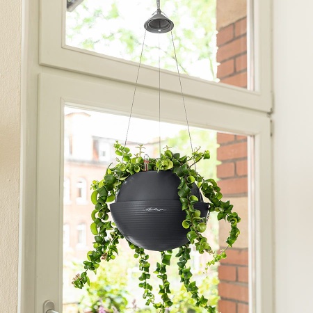 Кашпо Lechuza Bola