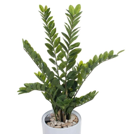 Растение искусственное Замиокулькас в горшке Vase Rib