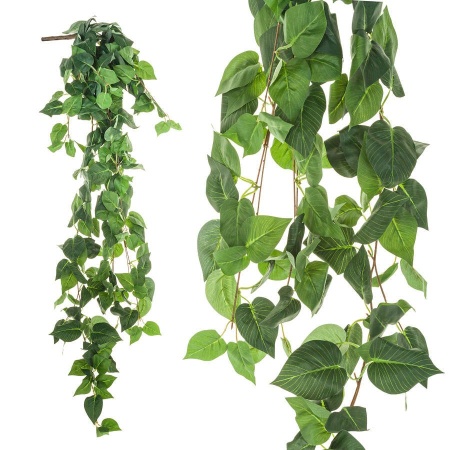 Эпипремнум искусственный