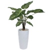 Растение искусственное Калатея в горшке Vase Rib