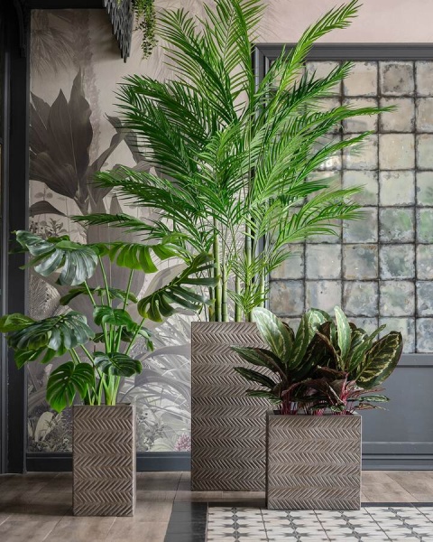 Высокий горшок Fossil wood Column