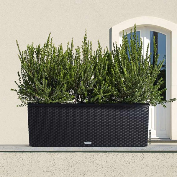 Кашпо Lechuza TRIO Cottage