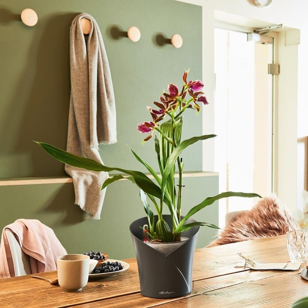 Кашпо Lechuza Orchidea