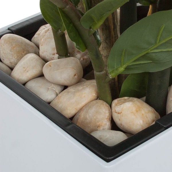 Растение искусственное Замиокулькас в горшке Conic Silk