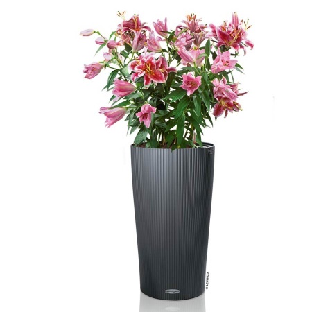 Кашпо Lechuza Cilindro Color