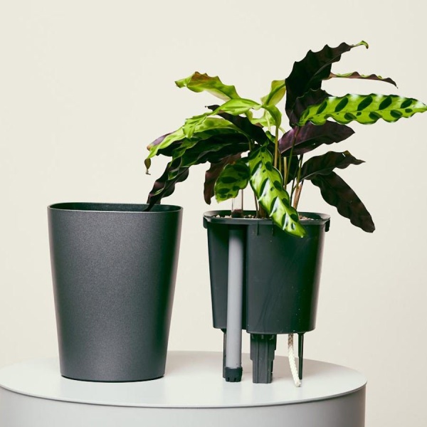 Кашпо Lechuza Deltini & MINI-Deltini