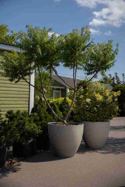 Большой уличный горшок Sandy Cement