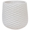 Большой горшок Cells Jar