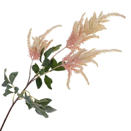 Астильба искусственная