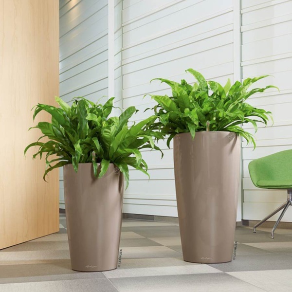 Кашпо Lechuza Rondo