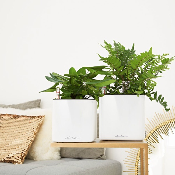 Кашпо Lechuza Cube Glossy