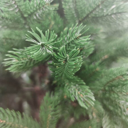 Ель искусственная Ярославская