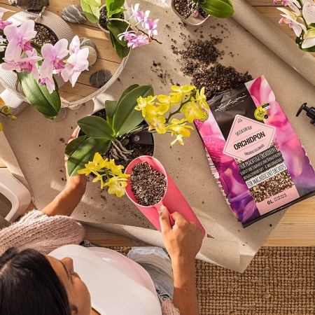 Субстрат Lechuza ORCHIDPON