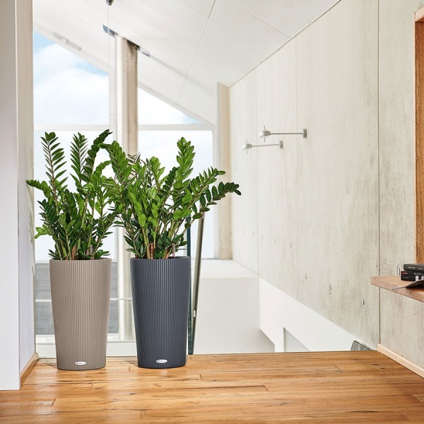 Кашпо Lechuza Cilindro Color