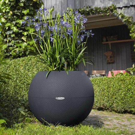 Кашпо Lechuza Puro Color