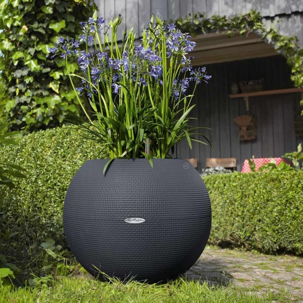 Кашпо Lechuza Puro Color