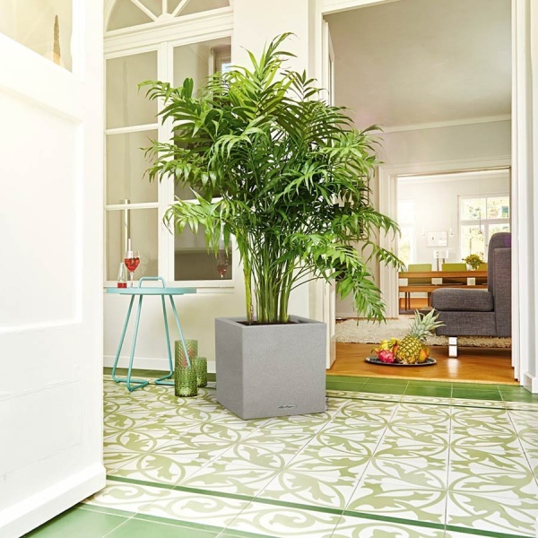 Кашпо Lechuza Canto Stone low