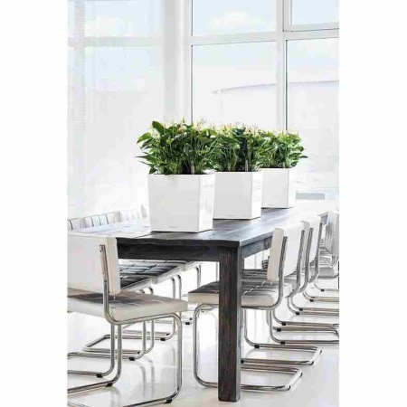 Кашпо Lechuza Cube