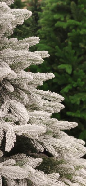 Ель искусственная заснеженная Королева Тянь-Шаня