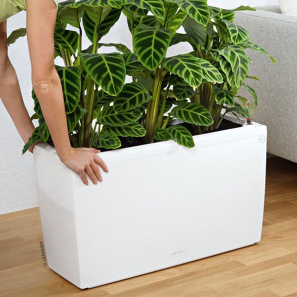 Кашпо Lechuza Cararo